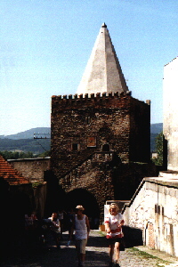 Willmannturm