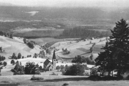 Grunwald mit den Seefeldern