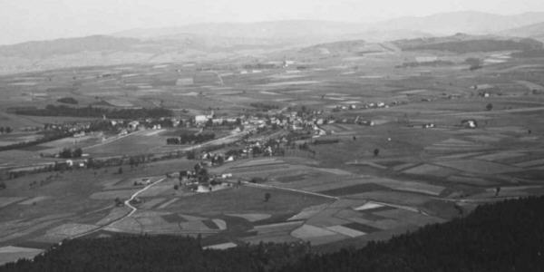 Panorama