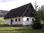 Bild anzeigen