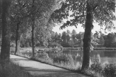 Hammerteich