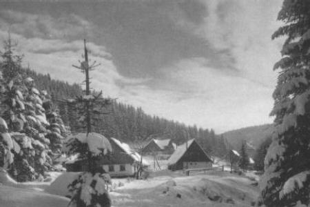 Schneebergstraße